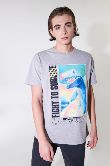 Camiseta manga corta estampada Jurassic Park.