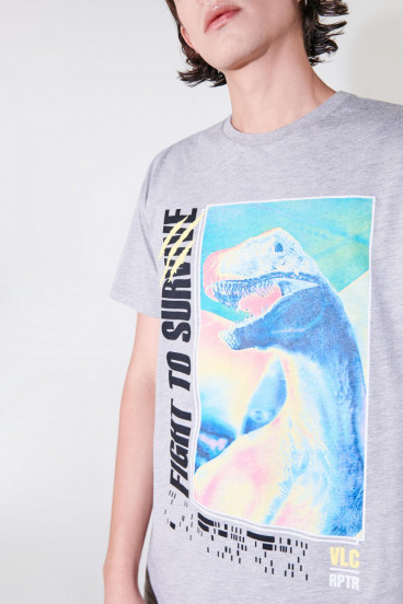 Camiseta manga corta estampada Jurassic Park.
