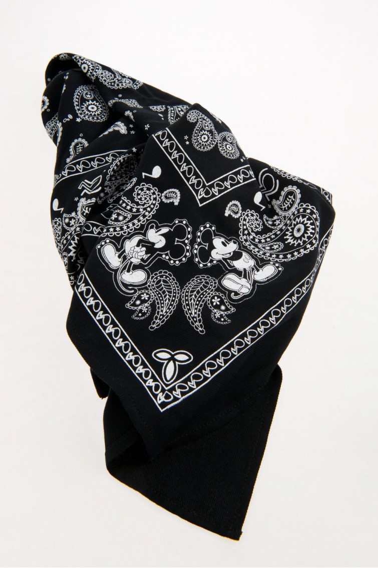 Pañuelo, accesorio, estampado, Disney