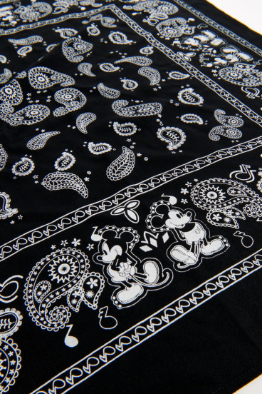 Pañuelo, accesorio, estampado, Disney