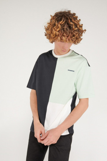 Camiseta manga corta estampada.