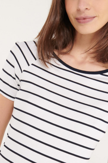 Camiseta básica, manga corta.