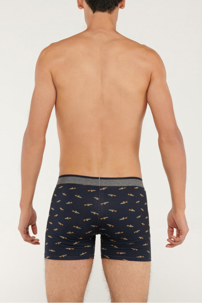 Ropa interior, boxer, Pierna media, estampado.