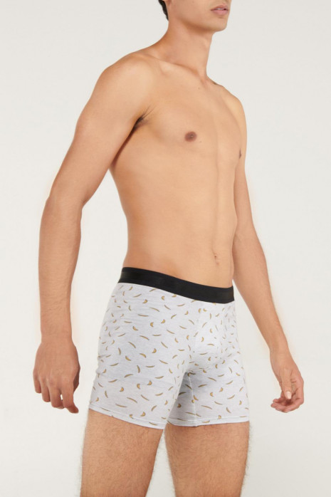 Ropa interior - Boxer - Pierna Larga - Estampado