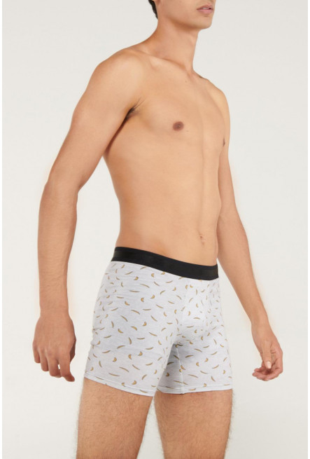 Ropa interior - Boxer - Pierna Larga - Estampado