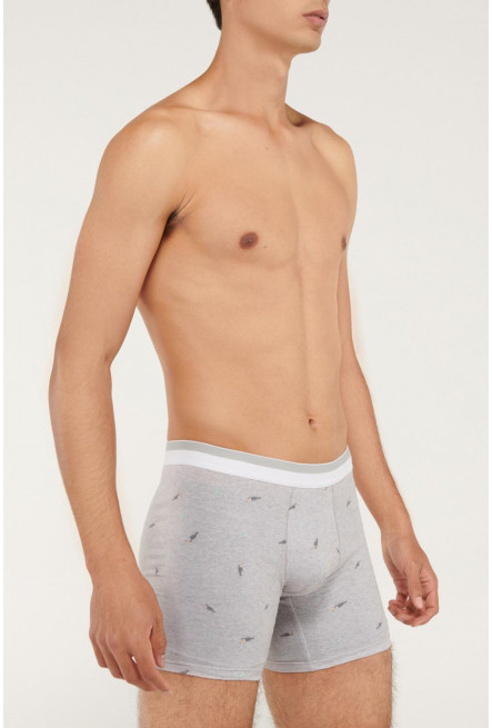 Ropa interior, Boxer, Pierna larga, Estampado.