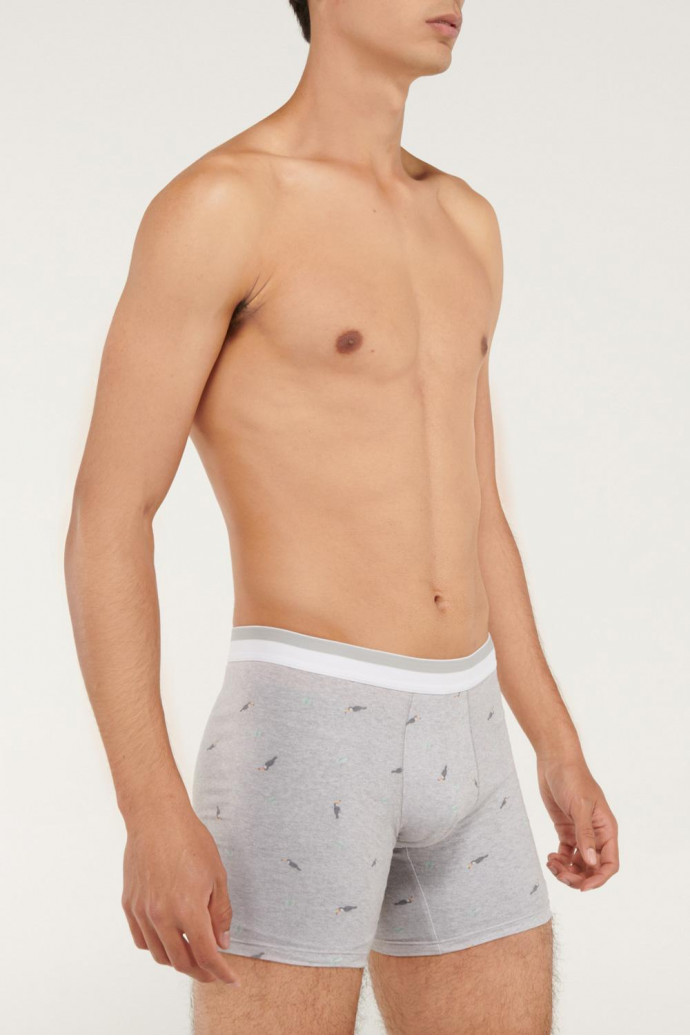 Ropa interior, Boxer, Pierna larga, Estampado.