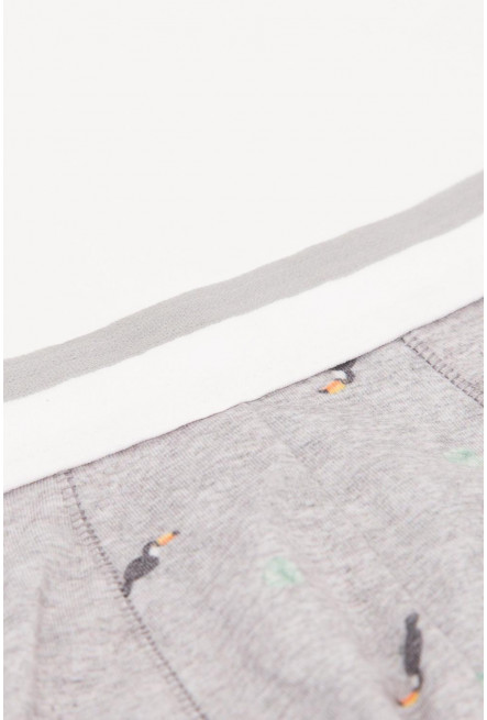 Ropa interior, Boxer, Pierna larga, Estampado.