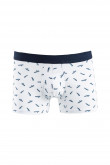 Boxer Trunk estampado