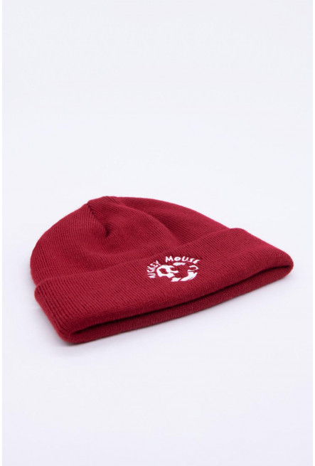 Gorro con bordado, Mickey