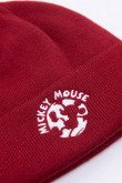 Gorro con bordado, Mickey