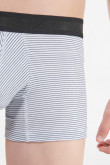 Boxer Trunk estampado