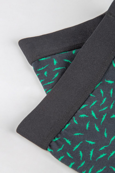 Ropa interior - Boxer - Pierna Larga - Estampado