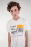 Camiseta básica manga corta estampada.