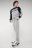 Pantalon jogger con pretina y puños en rib, estampado localizado