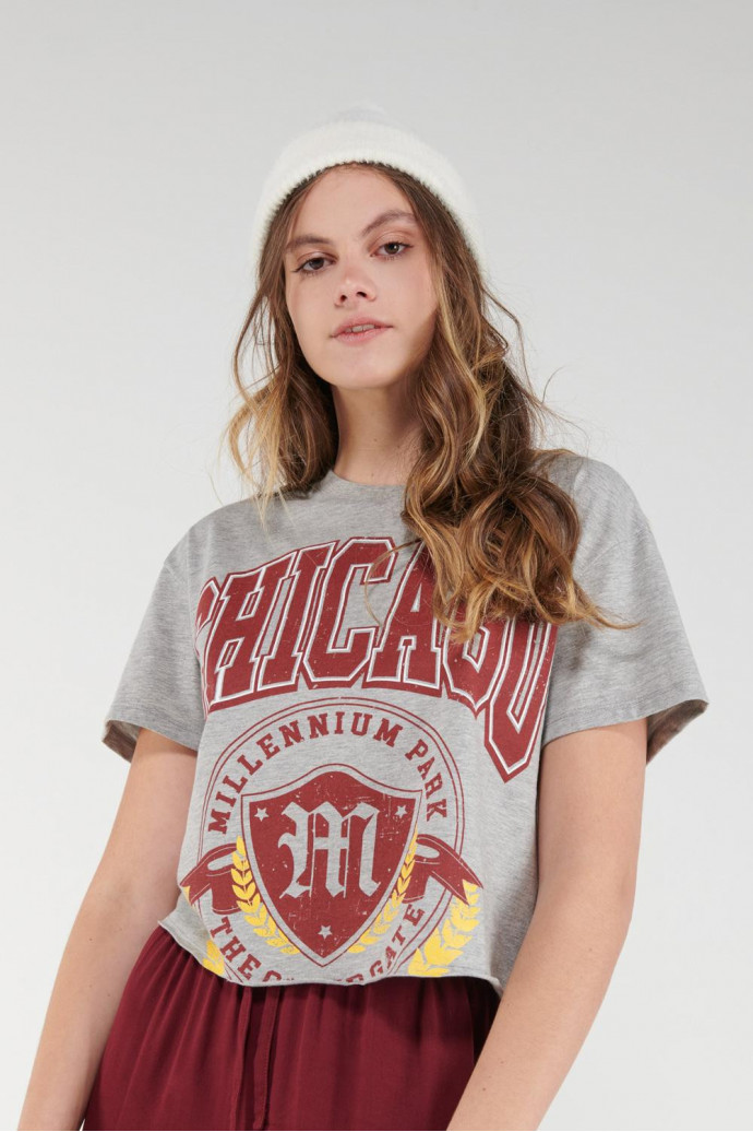 Camiseta manga corta, con estampado en frente.