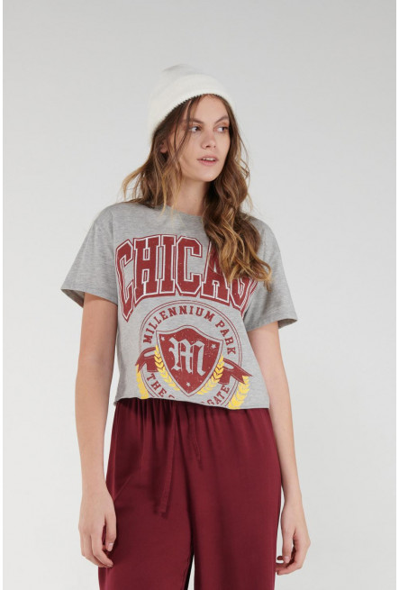 Camiseta manga corta, con estampado en frente.