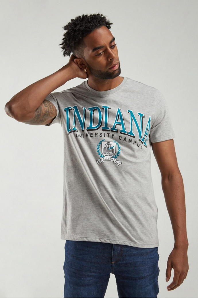 Camiseta manga corta estampada