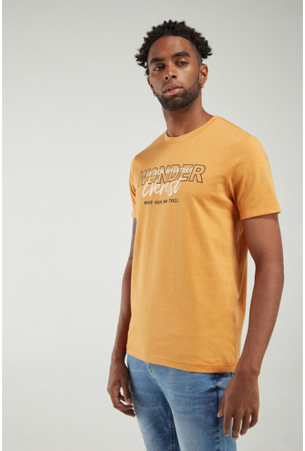 Camiseta manga corta estampada