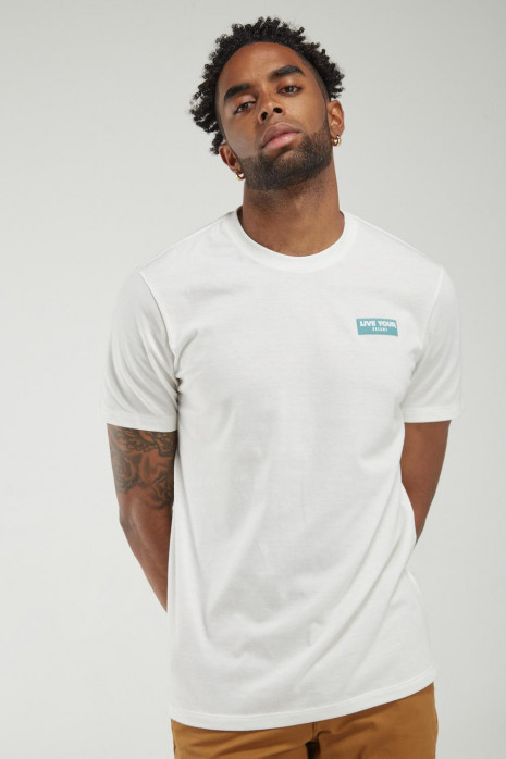 Camiseta estampada manga corta.
