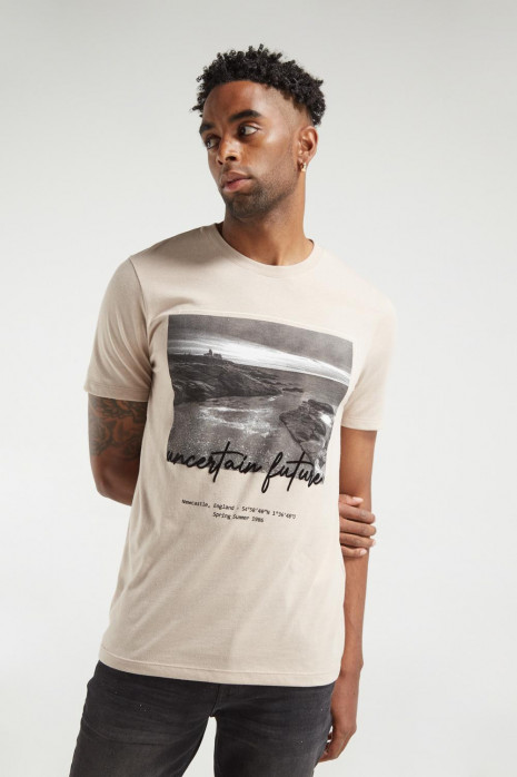 Camiseta básica manga corta con estampado