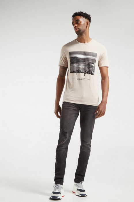 Camiseta básica manga corta con estampado