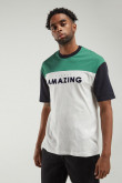 Camiseta manga corta con estampado.