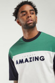 Camiseta manga corta con estampado.