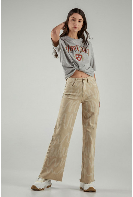 Camiseta, con estampado en frente y manga, de Harvard