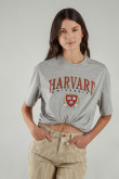 Camiseta, con estampado en frente y manga, de Harvard