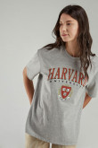 Camiseta, con estampado en frente y manga, de Harvard