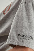 Camiseta, con estampado en frente y manga, de Harvard