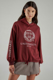 Buzo, con estampado en frente y manga, de Harvard