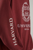 Buzo, con estampado en frente y manga, de Harvard