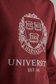 Buzo, con estampado en frente y manga, de Harvard