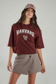 Camiseta, con estampado en frente, de Harvard