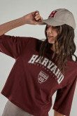 Camiseta, con estampado en frente, de Harvard