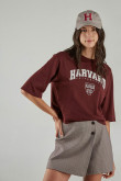 Camiseta, con estampado en frente, de Harvard