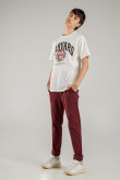 Camiseta, con estampado en frente, de Harvard