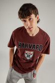 Camiseta, con estampado en frente, de Harvard