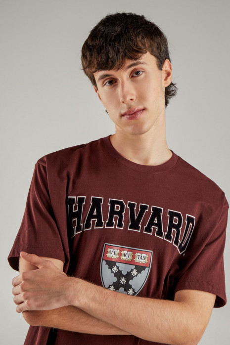 Camiseta, con estampado en frente, de Harvard