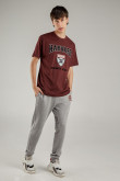 Camiseta, con estampado en frente, de Harvard