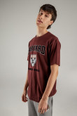 Camiseta, con estampado en frente, de Harvard