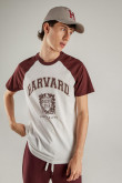 Camiseta, con estampado en frente, de Harvard