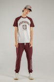 Camiseta, con estampado en frente, de Harvard
