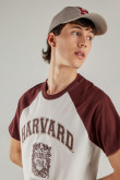 Camiseta, con estampado en frente, de Harvard