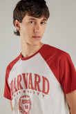 Camiseta, con estampado en frente, de Harvard