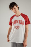 Camiseta, con estampado en frente, de Harvard
