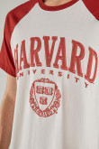 camiseta-con-estampado-en-frente-de-harvard