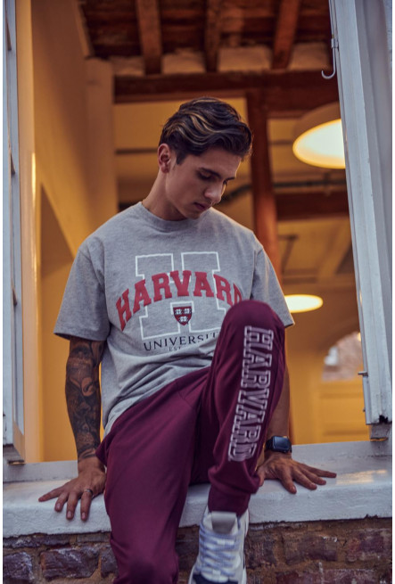Camiseta, con estampado en frente, de Harvard
